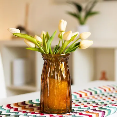 Esclusivo - Piazza Grande Apartment Locarno